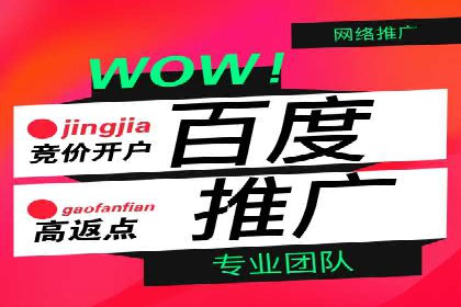 某某企业SEM推广成功案例：打造品牌营销新模式